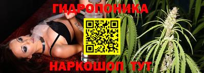 молекула духа Славгород