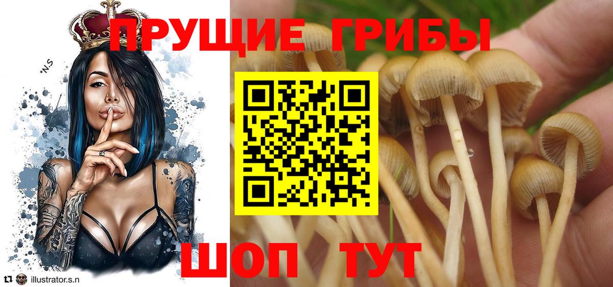 Псилоцибиновые грибы GOLDEN TEACHER  Вход с VPN  Нягань 